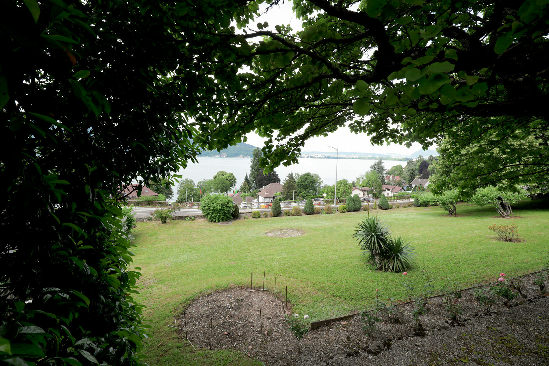 Vue sur jardin et rosiers